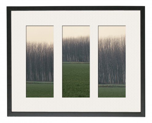 Tres fotografías enmarcadas de árboles en un campo capturadas en un hermoso reportaje fotográfico.