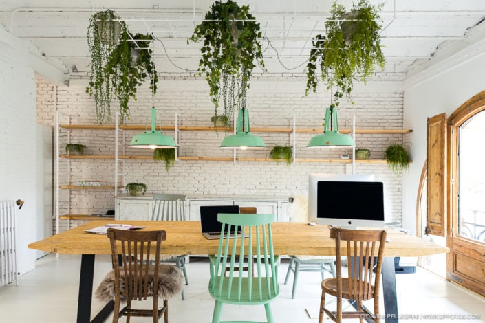 Reforma de una oficina en Barcelona con plantas colgantes del techo - Fotografía.