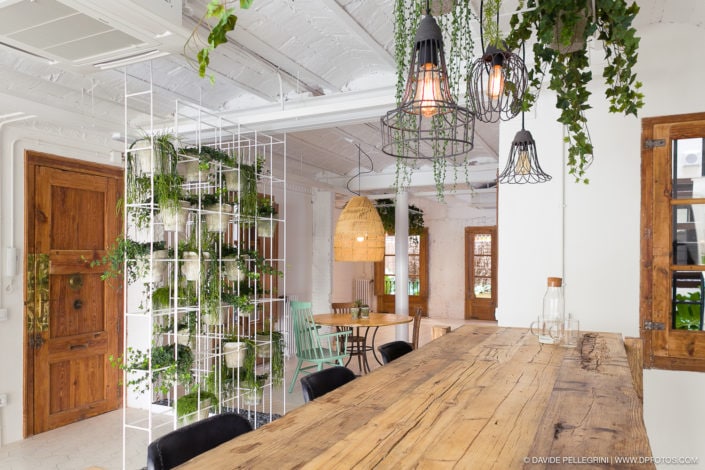 Descripción: Una oficina en Barcelona con una mesa de madera y plantas colgando del techo.