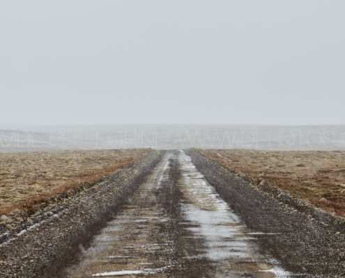Un camino de tierra en medio de un campo en un día nublado.
