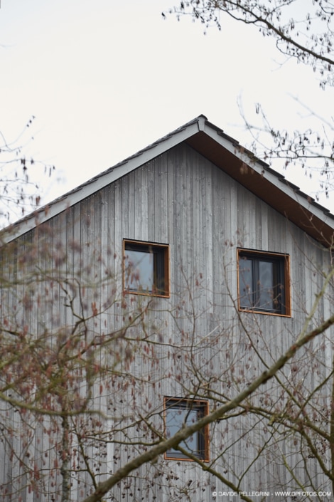 Descripción: Un reportaje arquitectónico de una casa de madera con ventanas y un árbol al fondo.