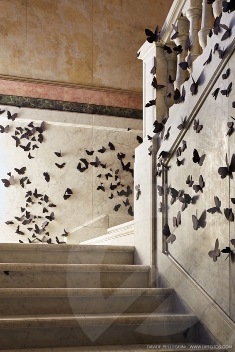 Una escalera con mariposas negras, perfecta para un reportaje fotográfico o un proyecto de interiorismo en arquitectura.