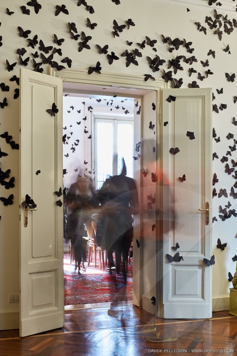 Una habitación con muchos murciélagos en las paredes que es perfecta para un reportaje fotográfico de arquitectura.