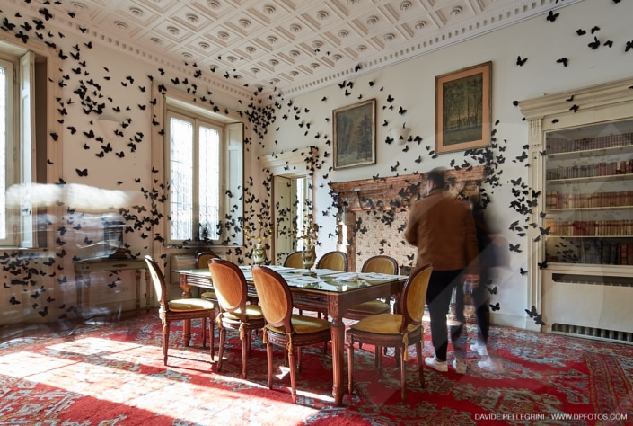 Una habitación con muchas mariposas en las paredes, perfecta para un reportaje fotográfico o una muestra de interiorismo y arquitectura.