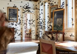 Una mujer navega con gracia a través de una habitación arquitectónicamente impresionante adornada con una fascinante exhibición de mariposas, creando el escenario perfecto para una sesión de fotos de diseño de interiores.