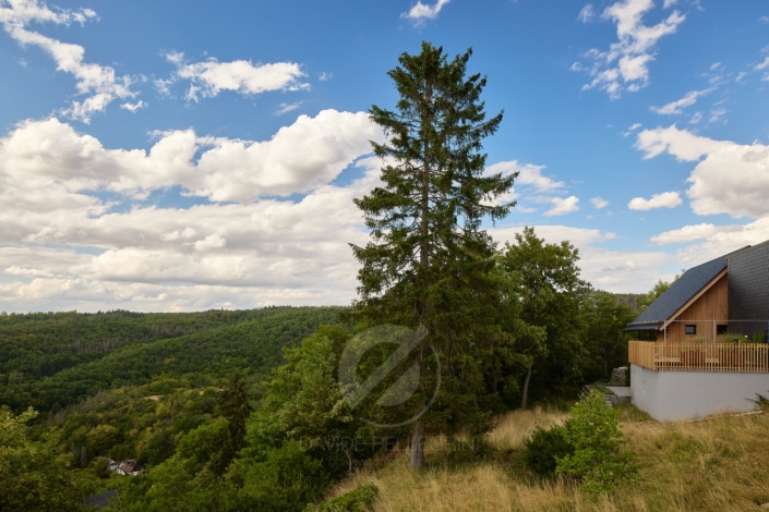 Un reportaje fotográfico de arquitectura que muestra una casa en lo alto de una colina con vistas a un bosque.